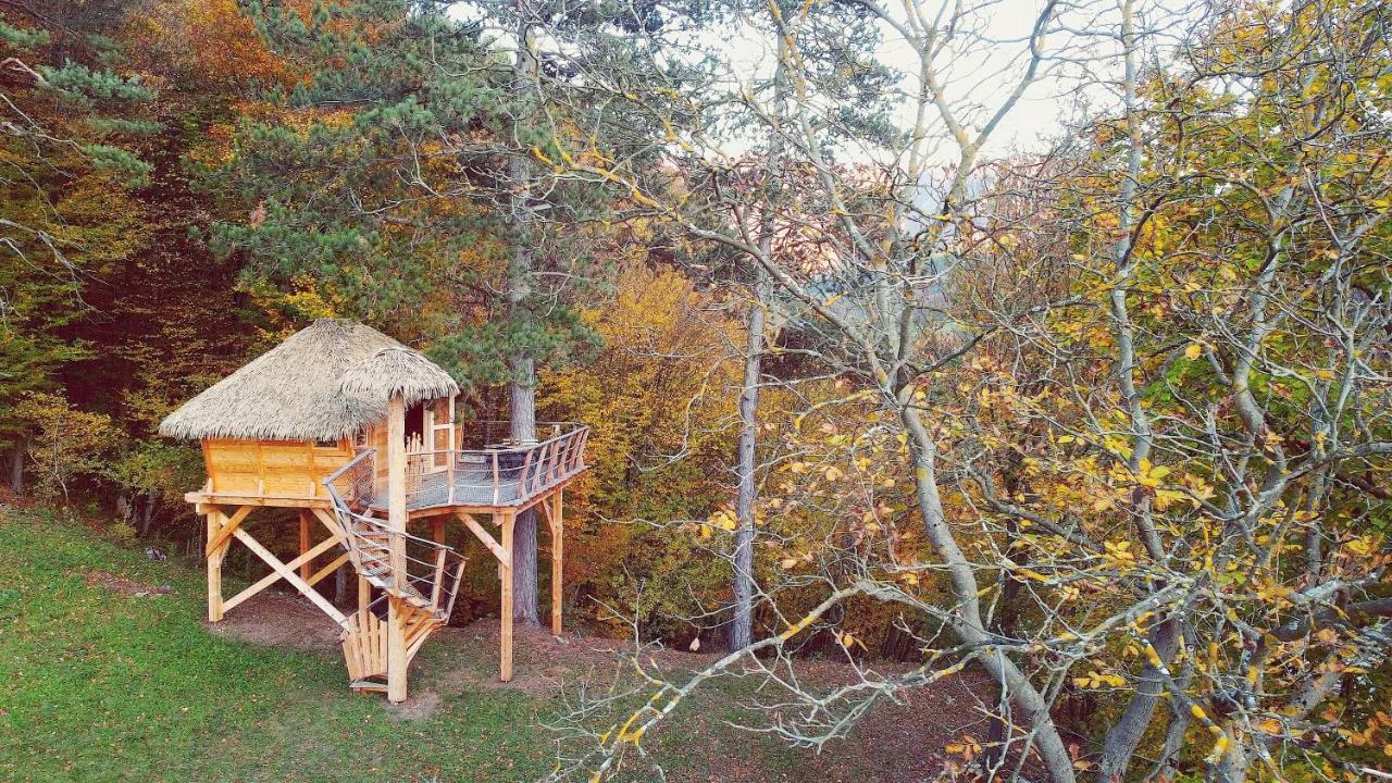 Pine Point Otel Trenčianske Teplice Dış mekan fotoğraf