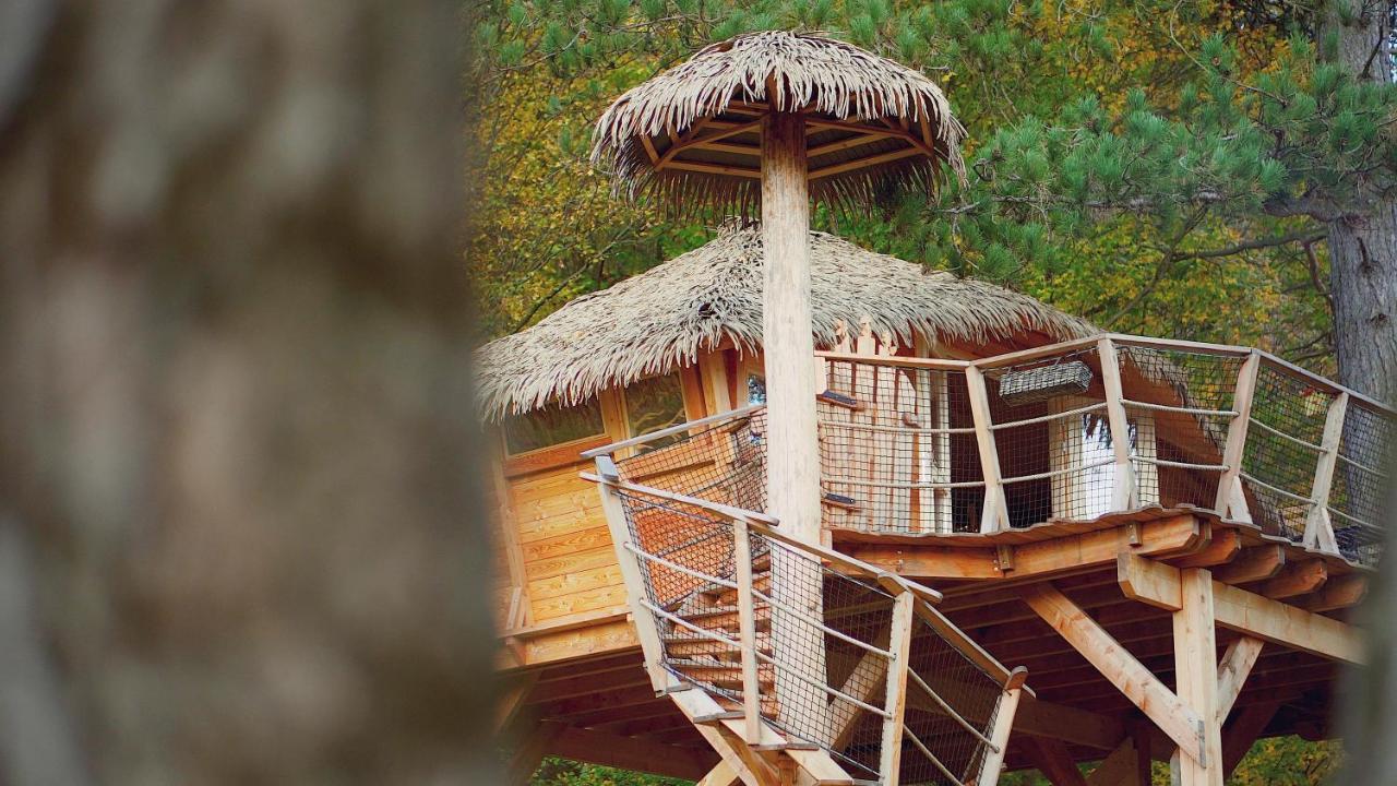 Pine Point Otel Trenčianske Teplice Dış mekan fotoğraf